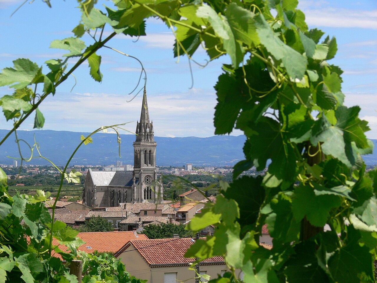 Village de Cornas vu depuis les vignes