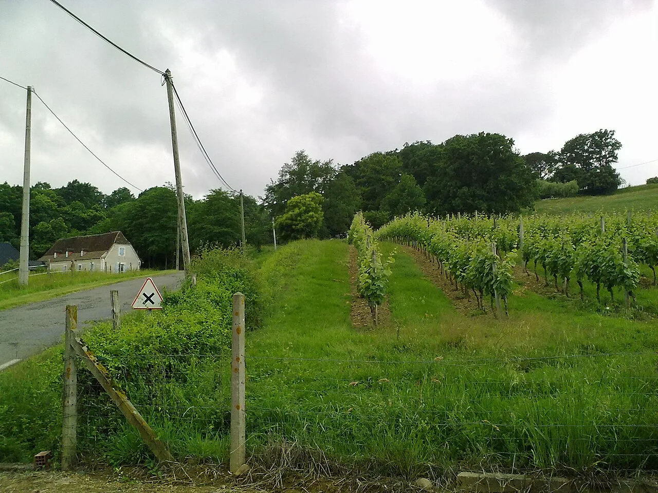 Vignoble de Séméacq-Blachon dans le Madiranais