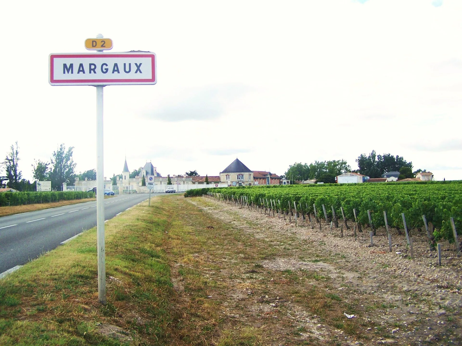 Vignoble à l’entrée de Margaux