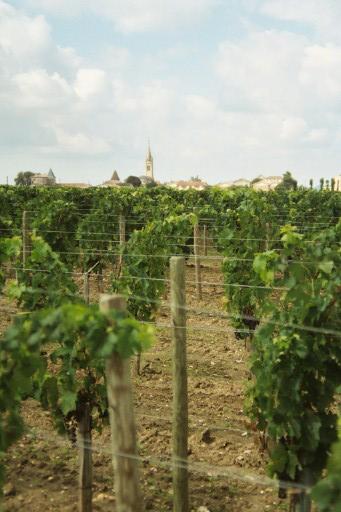Propriété de Petrus à Pomerol