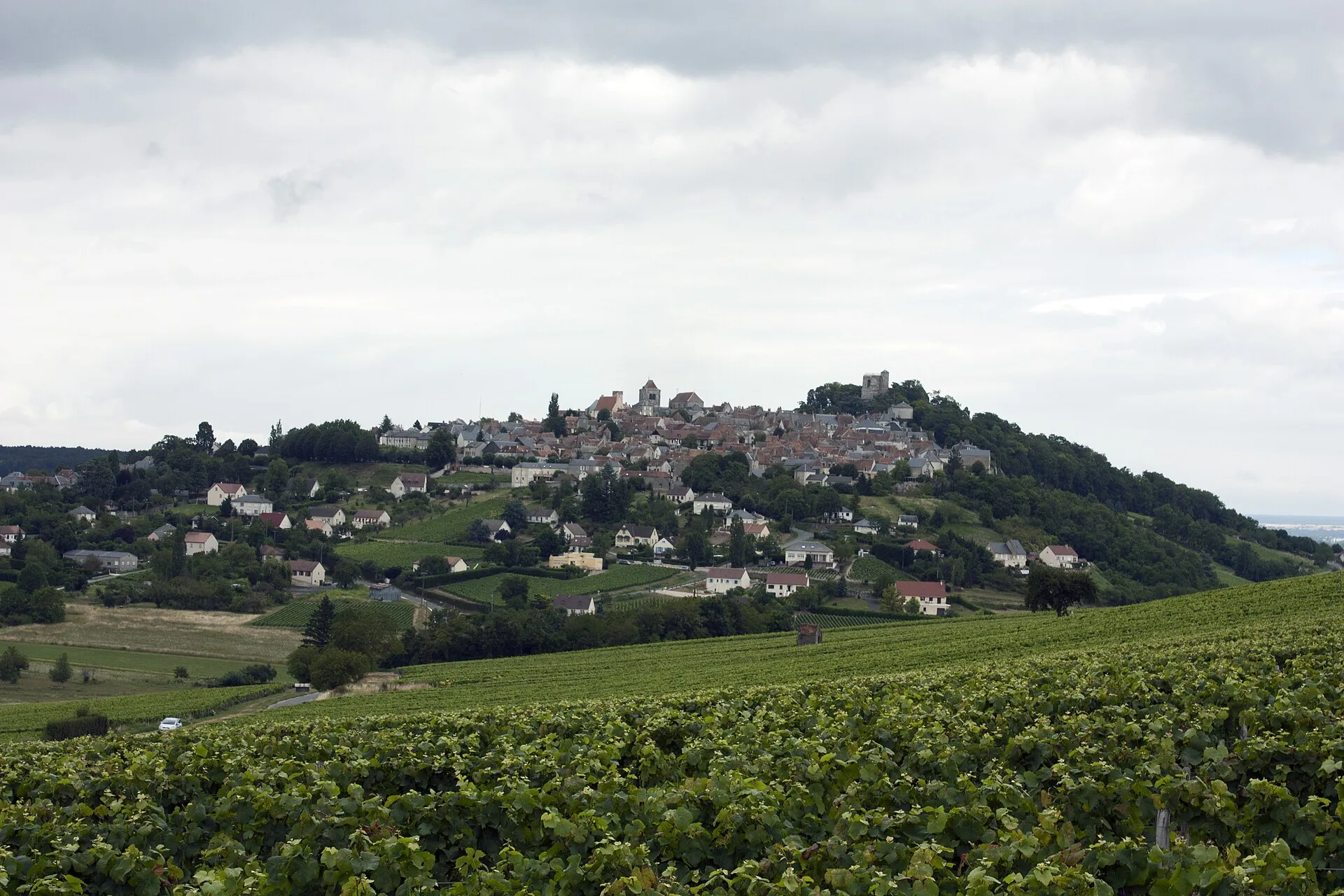 Coteaux du vignoble de Sancerre
