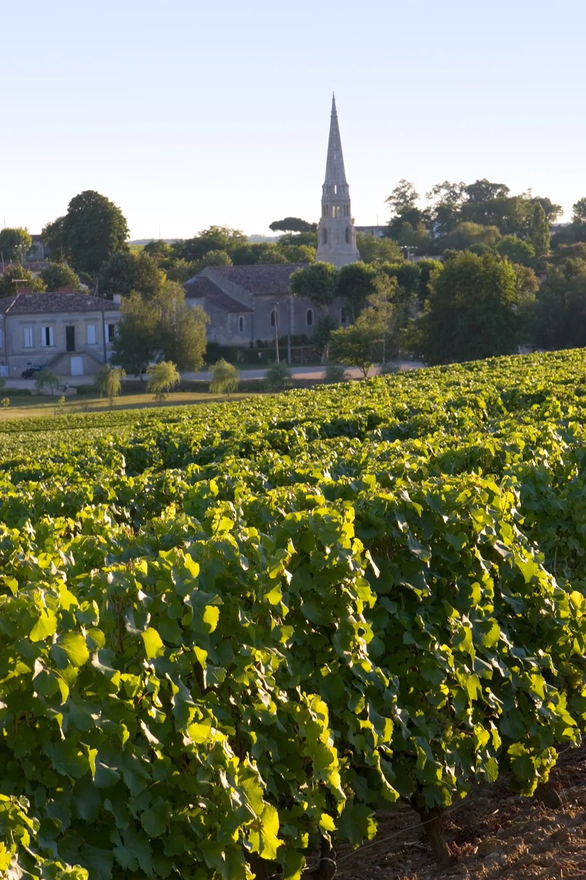 Village et vignes de Sauternes