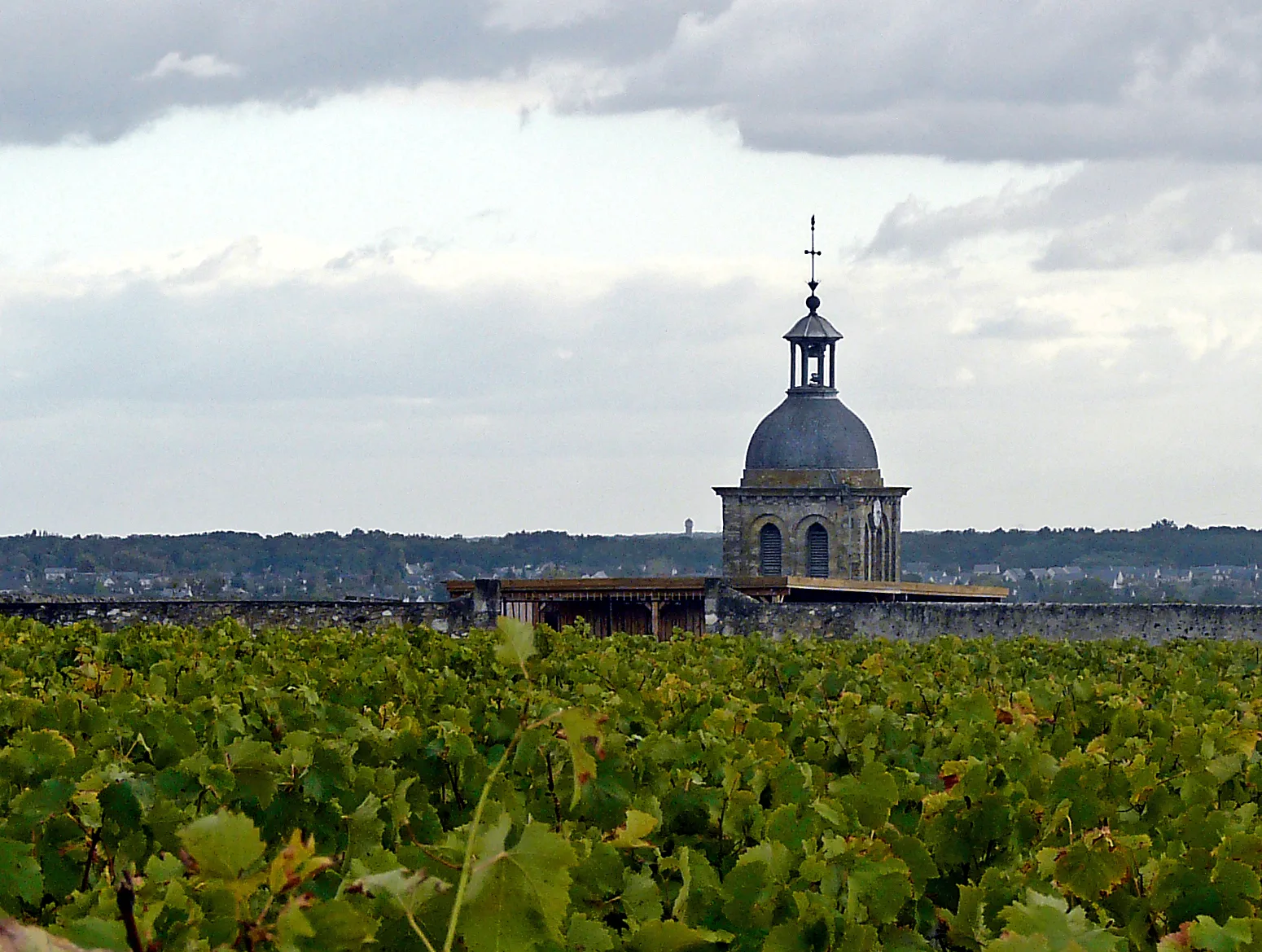 Vignes et clocher à Vouvray